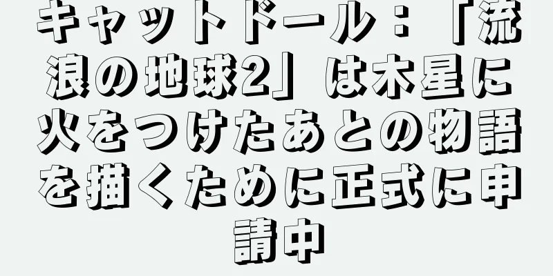 キャットドール：「流浪の地球2」は木星に火をつけたあとの物語を描くために正式に申請中