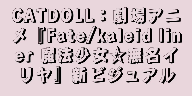 CATDOLL：劇場アニメ『Fate/kaleid liner 魔法少女☆無名イリヤ』新ビジュアル