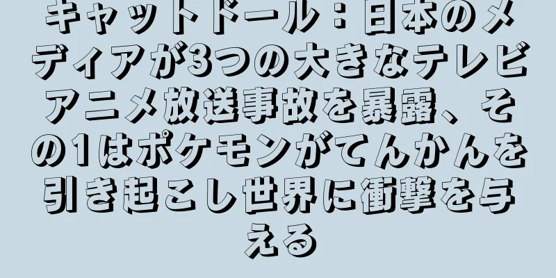 キャットドール：日本のメディアが3つの大きなテレビアニメ放送事故を暴露、その1はポケモンがてんかんを引き起こし世界に衝撃を与える