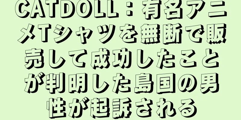 CATDOLL：有名アニメTシャツを無断で販売して成功したことが判明した島国の男性が起訴される