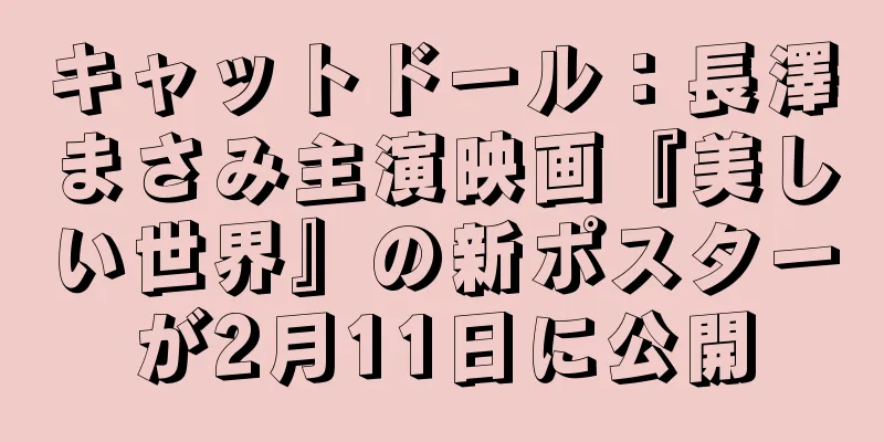 キャットドール：長澤まさみ主演映画『美しい世界』の新ポスターが2月11日に公開
