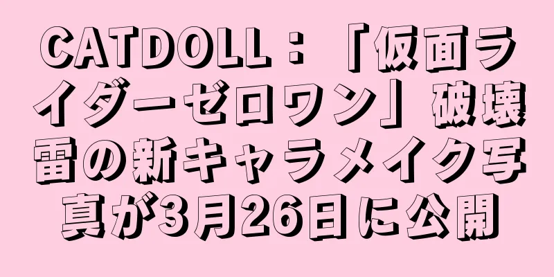 CATDOLL：「仮面ライダーゼロワン」破壊雷の新キャラメイク写真が3月26日に公開
