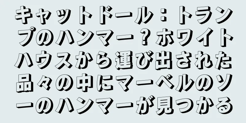 キャットドール：トランプのハンマー？ホワイトハウスから運び出された品々の中にマーベルのソーのハンマーが見つかる