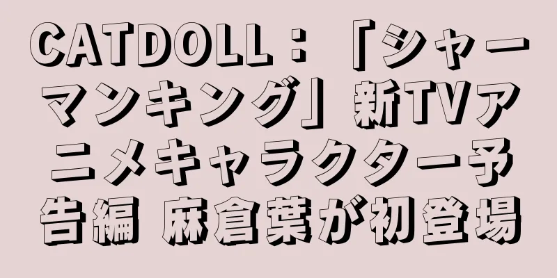 CATDOLL：「シャーマンキング」新TVアニメキャラクター予告編 麻倉葉が初登場