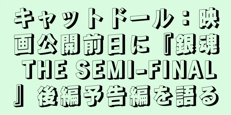 キャットドール：映画公開前日に『銀魂 THE SEMI-FINAL』後編予告編を語る