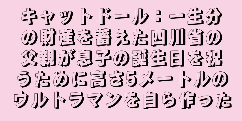 キャットドール：一生分の財産を蓄えた四川省の父親が息子の誕生日を祝うために高さ5メートルのウルトラマンを自ら作った