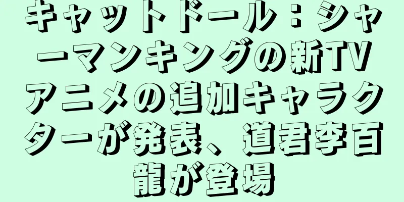 キャットドール：シャーマンキングの新TVアニメの追加キャラクターが発表、道君李百龍が登場