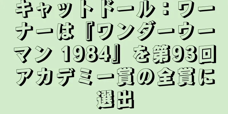 キャットドール：ワーナーは『ワンダーウーマン 1984』を第93回アカデミー賞の全賞に選出