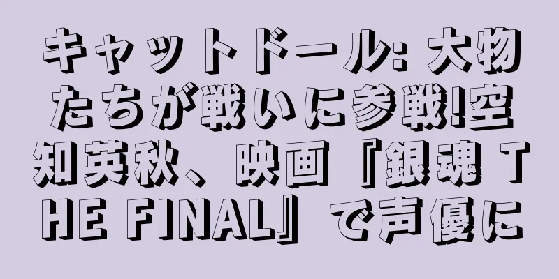 キャットドール: 大物たちが戦いに参戦!空知英秋、映画『銀魂 THE FINAL』で声優に