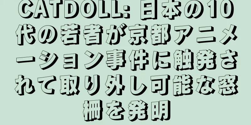 CATDOLL: 日本の10代の若者が京都アニメーション事件に触発されて取り外し可能な窓柵を発明
