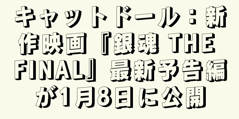 キャットドール：新作映画『銀魂 THE FINAL』最新予告編が1月8日に公開