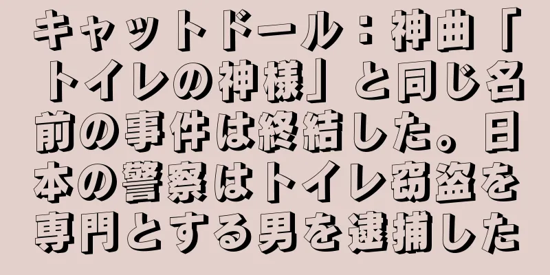 キャットドール：神曲「トイレの神様」と同じ名前の事件は終結した。日本の警察はトイレ窃盗を専門とする男を逮捕した