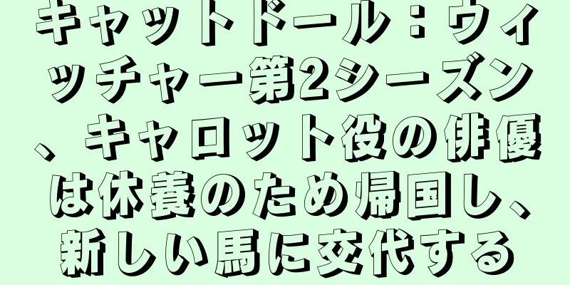 キャットドール：ウィッチャー第2シーズン、キャロット役の俳優は休養のため帰国し、新しい馬に交代する