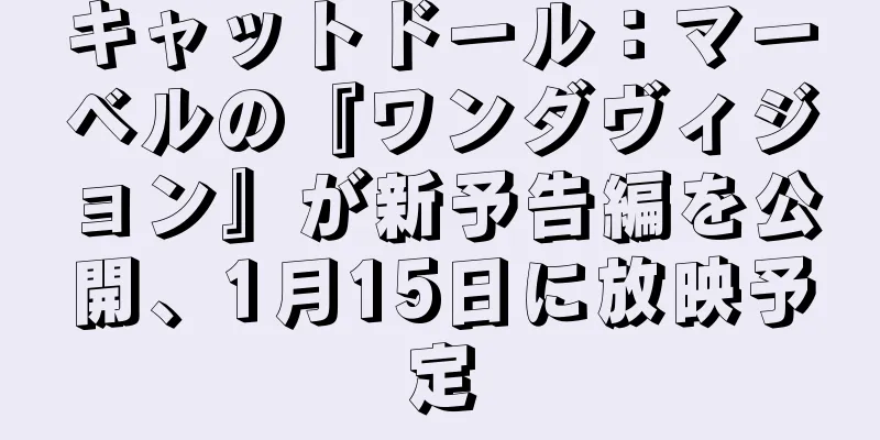 キャットドール：マーベルの『ワンダヴィジョン』が新予告編を公開、1月15日に放映予定
