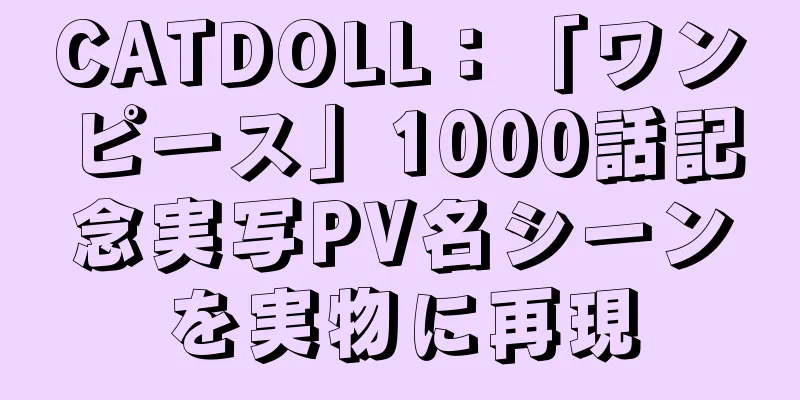 CATDOLL：「ワンピース」1000話記念実写PV名シーンを実物に再現