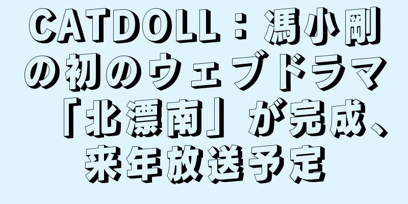 CATDOLL：馮小剛の初のウェブドラマ「北漂南」が完成、来年放送予定