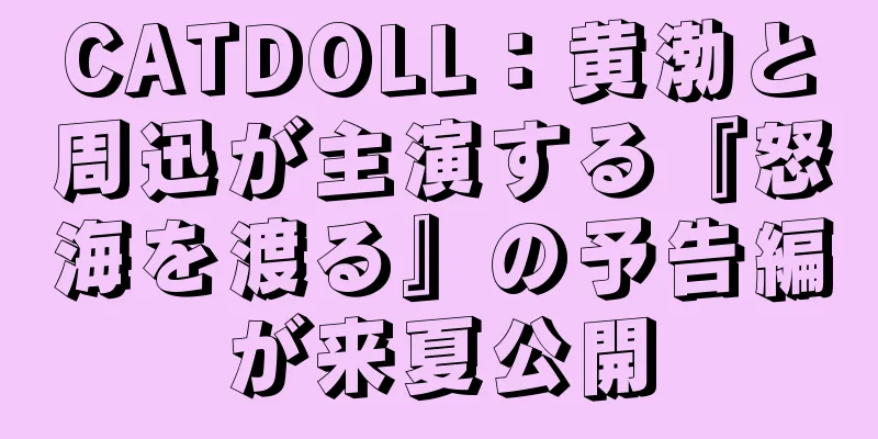 CATDOLL：黄渤と周迅が主演する『怒海を渡る』の予告編が来夏公開