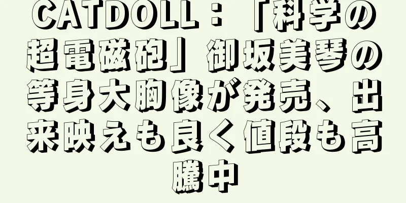 CATDOLL：「科学の超電磁砲」御坂美琴の等身大胸像が発売、出来映えも良く値段も高騰中