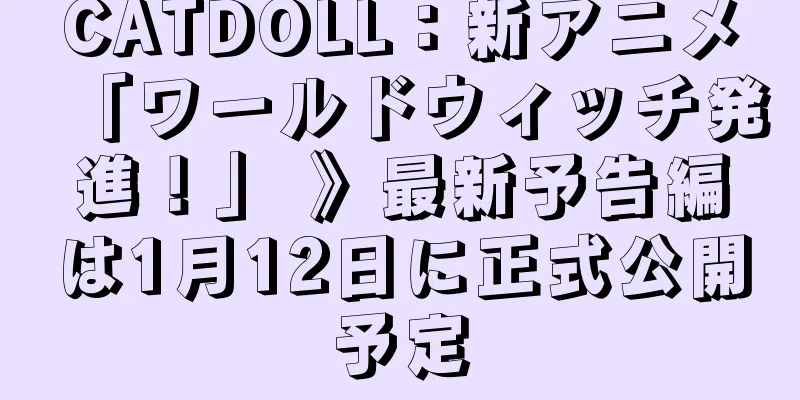 CATDOLL：新アニメ「ワールドウィッチ発進！」 》最新予告編は1月12日に正式公開予定