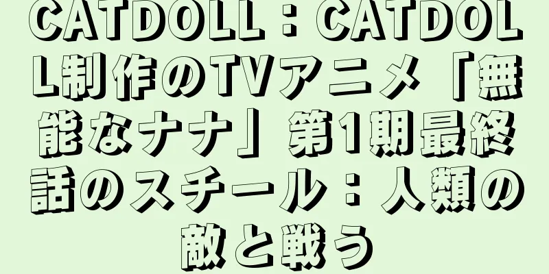 CATDOLL：CATDOLL制作のTVアニメ「無能なナナ」第1期最終話のスチール：人類の敵と戦う