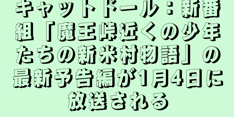 キャットドール：新番組「魔王峠近くの少年たちの新米村物語」の最新予告編が1月4日に放送される
