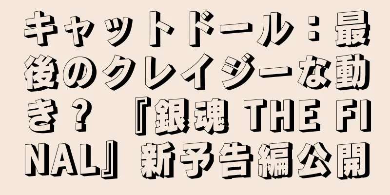 キャットドール：最後のクレイジーな動き？ 『銀魂 THE FINAL』新予告編公開