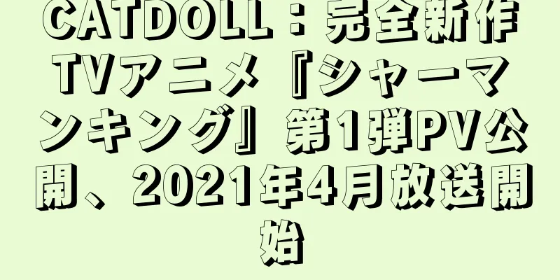 CATDOLL：完全新作TVアニメ『シャーマンキング』第1弾PV公開、2021年4月放送開始