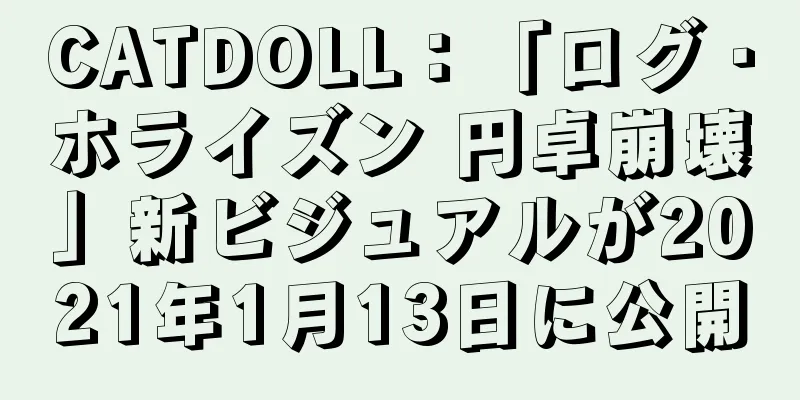 CATDOLL：「ログ・ホライズン 円卓崩壊」新ビジュアルが2021年1月13日に公開