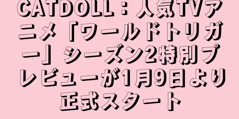 CATDOLL：人気TVアニメ「ワールドトリガー」シーズン2特別プレビューが1月9日より正式スタート
