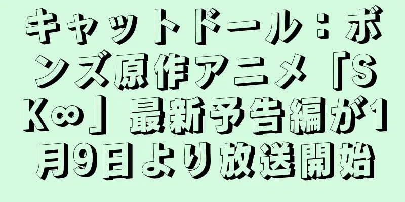 キャットドール：ボンズ原作アニメ「SK∞」最新予告編が1月9日より放送開始