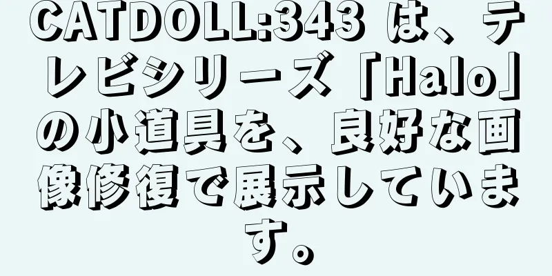 CATDOLL:343 は、テレビシリーズ「Halo」の小道具を、良好な画像修復で展示しています。