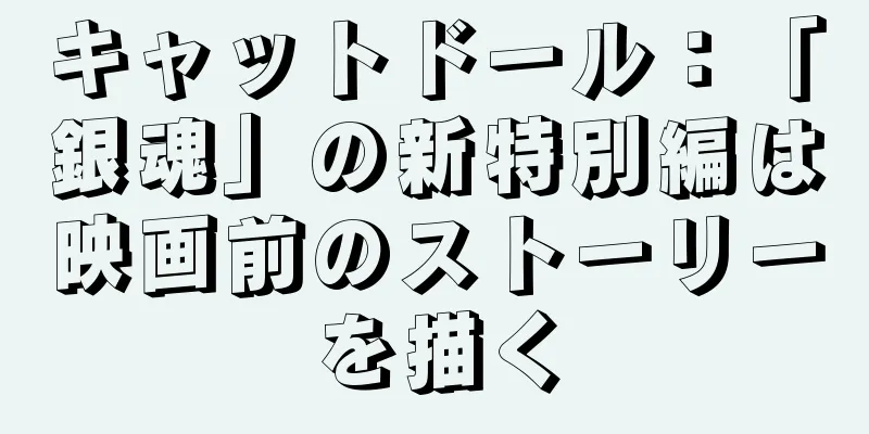 キャットドール：「銀魂」の新特別編は映画前のストーリーを描く