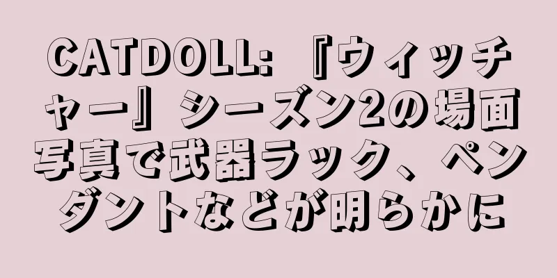 CATDOLL: 『ウィッチャー』シーズン2の場面写真で武器ラック、ペンダントなどが明らかに