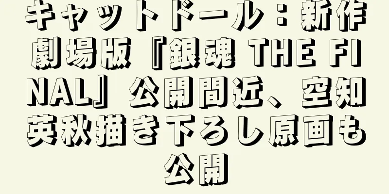 キャットドール：新作劇場版『銀魂 THE FINAL』公開間近、空知英秋描き下ろし原画も公開