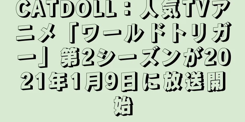 CATDOLL：人気TVアニメ「ワールドトリガー」第2シーズンが2021年1月9日に放送開始