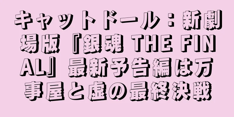 キャットドール：新劇場版『銀魂 THE FINAL』最新予告編は万事屋と虚の最終決戦