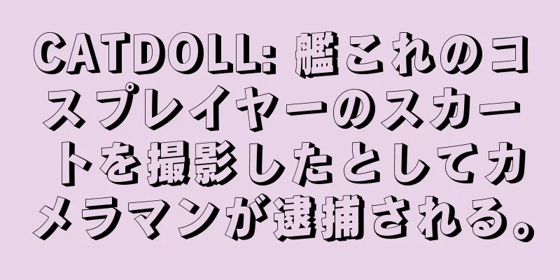 CATDOLL: 艦これのコスプレイヤーのスカートを撮影したとしてカメラマンが逮捕される。