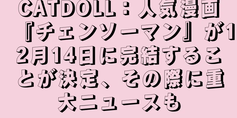 CATDOLL：人気漫画『チェンソーマン』が12月14日に完結することが決定、その際に重大ニュースも