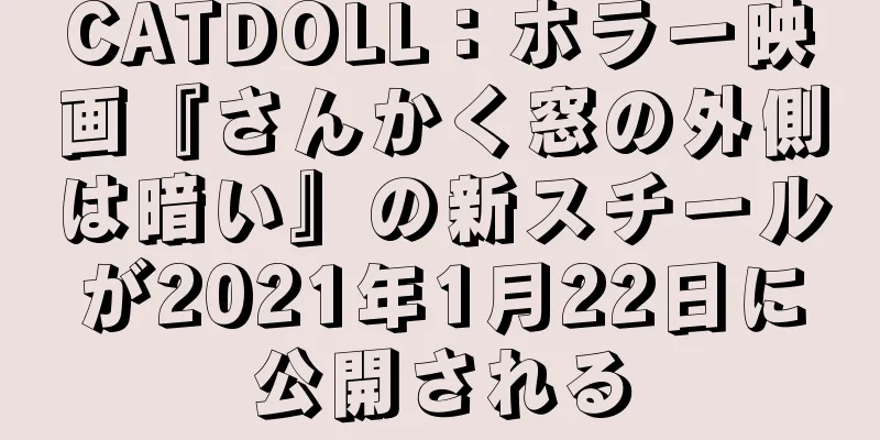 CATDOLL：ホラー映画『さんかく窓の外側は暗い』の新スチールが2021年1月22日に公開される