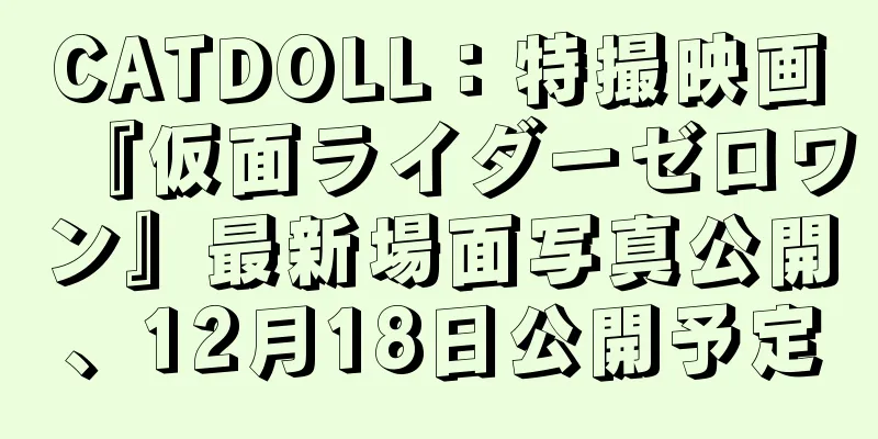 CATDOLL：特撮映画『仮面ライダーゼロワン』最新場面写真公開、12月18日公開予定