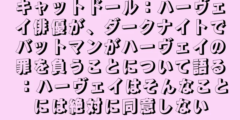 キャットドール：ハーヴェイ俳優が、ダークナイトでバットマンがハーヴェイの罪を負うことについて語る：ハーヴェイはそんなことには絶対に同意しない