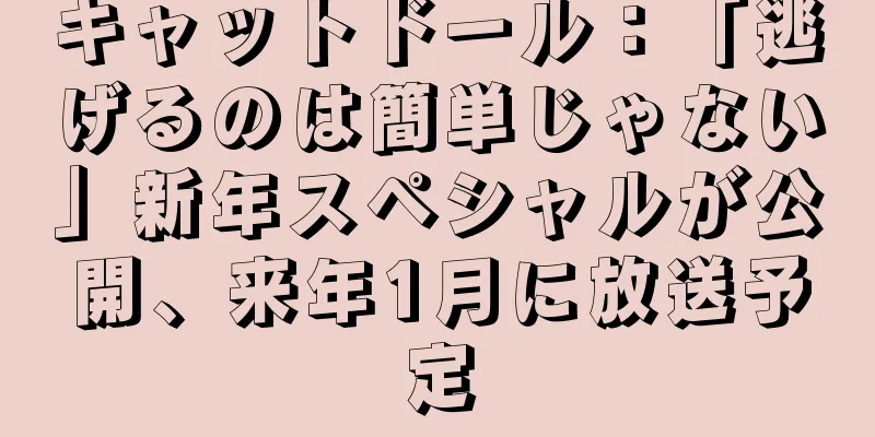 キャットドール：「逃げるのは簡単じゃない」新年スペシャルが公開、来年1月に放送予定