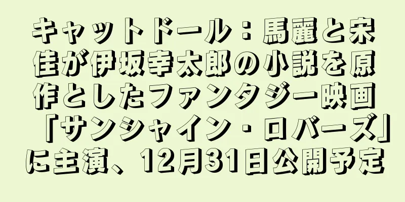 キャットドール：馬麗と宋佳が伊坂幸太郎の小説を原作としたファンタジー映画「サンシャイン・ロバーズ」に主演、12月31日公開予定