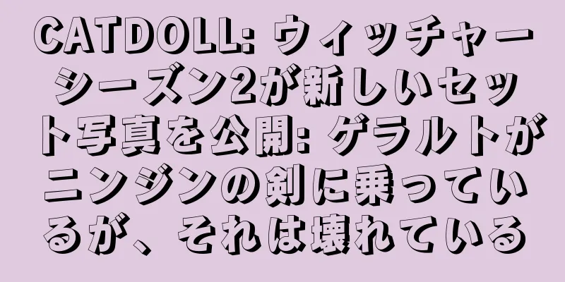 CATDOLL: ウィッチャーシーズン2が新しいセット写真を公開: ゲラルトがニンジンの剣に乗っているが、それは壊れている