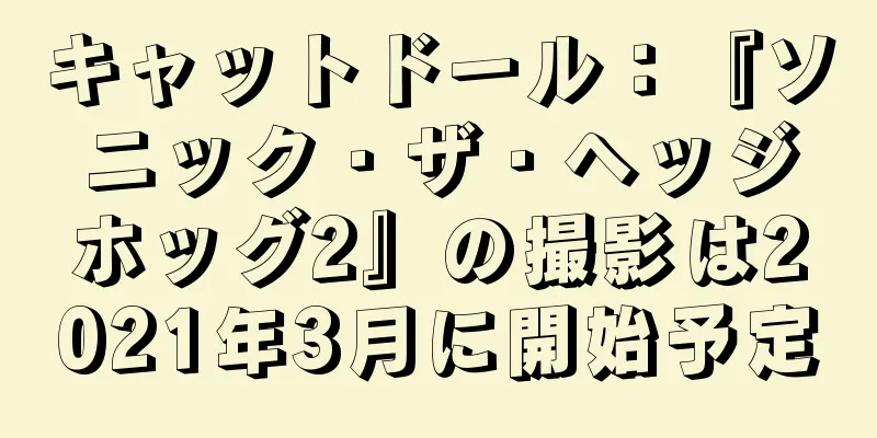 キャットドール：『ソニック・ザ・ヘッジホッグ2』の撮影は2021年3月に開始予定