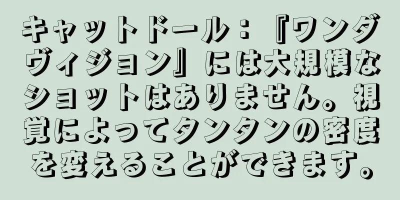 キャットドール：『ワンダヴィジョン』には大規模なショットはありません。視覚によってタンタンの密度を変えることができます。