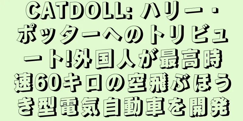 CATDOLL: ハリー・ポッターへのトリビュート!外国人が最高時速60キロの空飛ぶほうき型電気自動車を開発