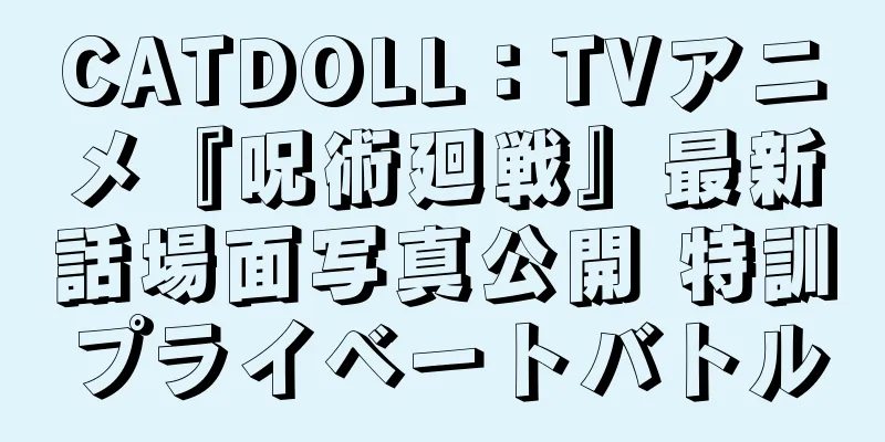 CATDOLL：TVアニメ『呪術廻戦』最新話場面写真公開 特訓プライベートバトル
