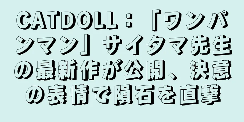 CATDOLL：「ワンパンマン」サイタマ先生の最新作が公開、決意の表情で隕石を直撃