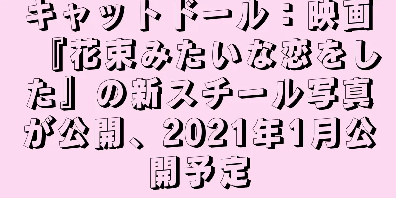 キャットドール：映画『花束みたいな恋をした』の新スチール写真が公開、2021年1月公開予定